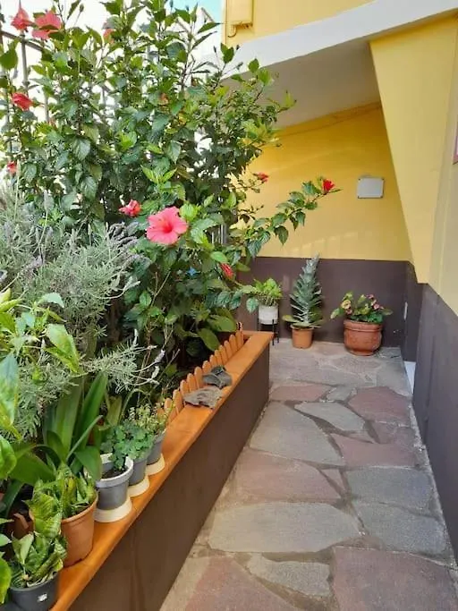 El Rincon De Nina Βίλα Σαν Κριστόμπαλ ντε Λα Λαγούνα 0*,